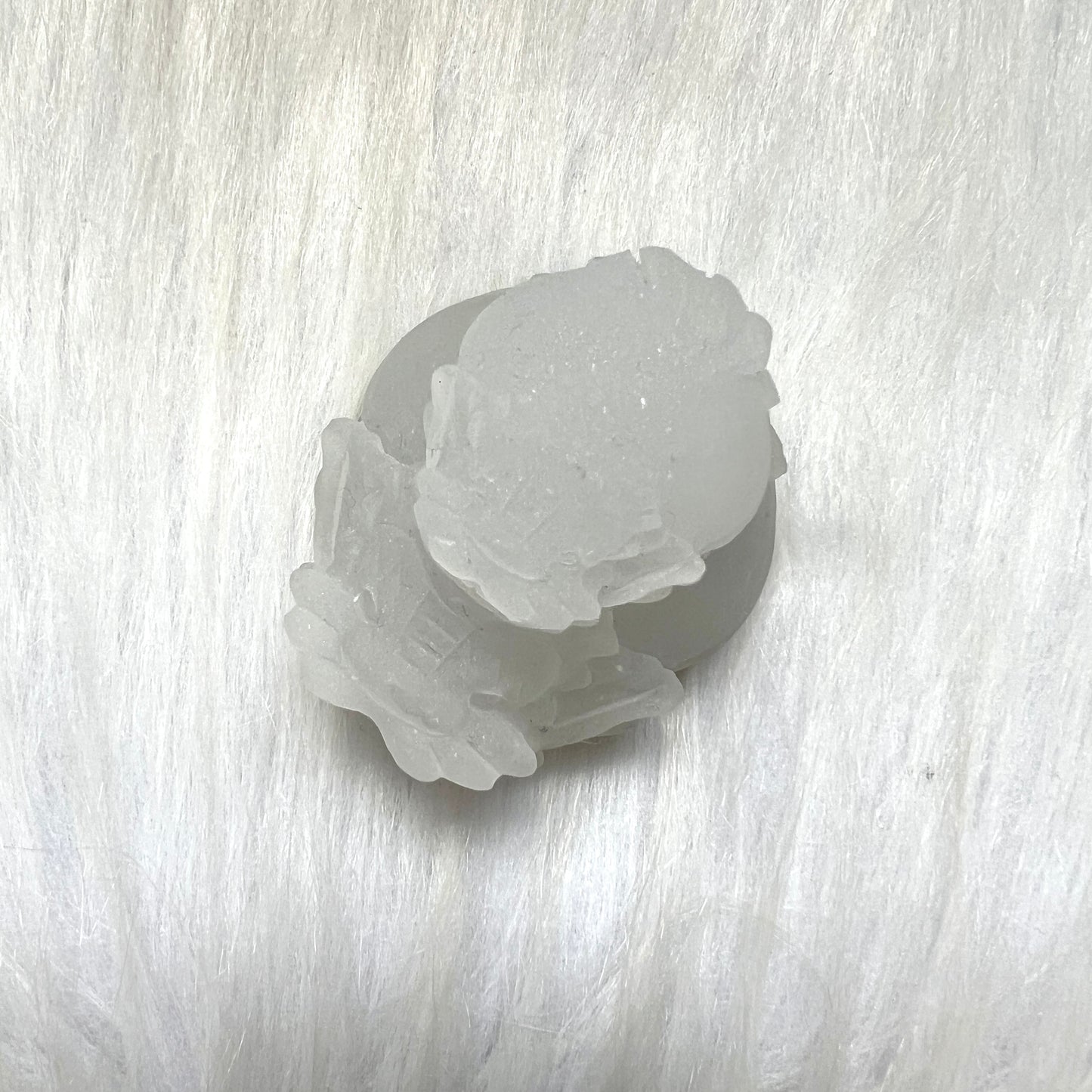 背子壽山石(荔枝凍)龍龜