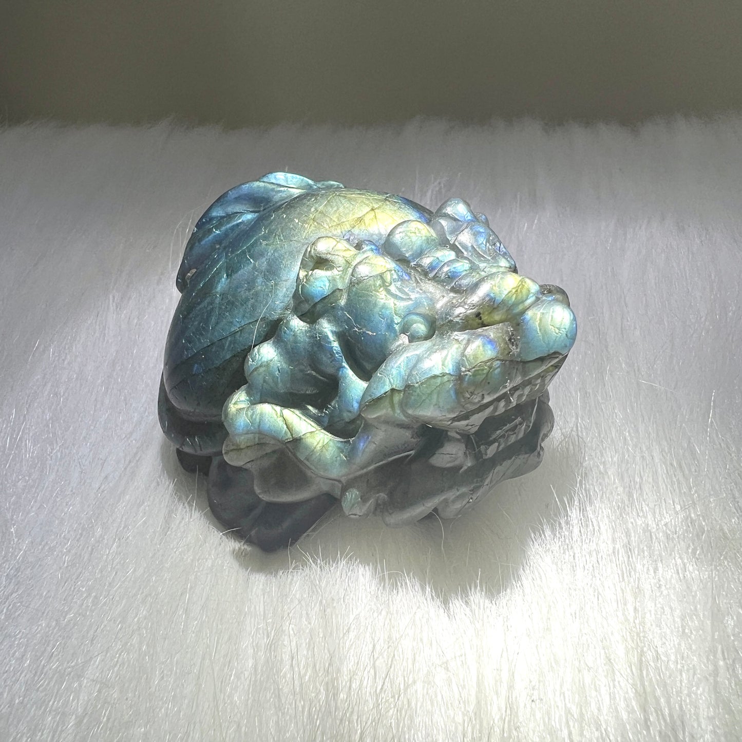 拉長石龍龜