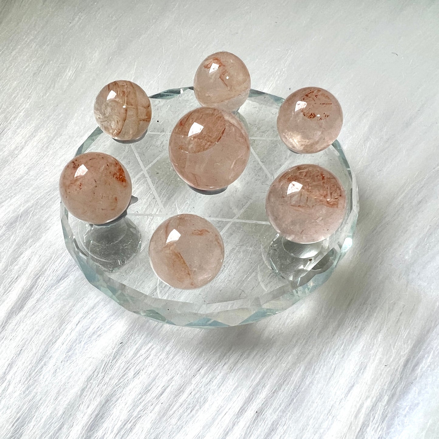 红胶花球七星阵(细)