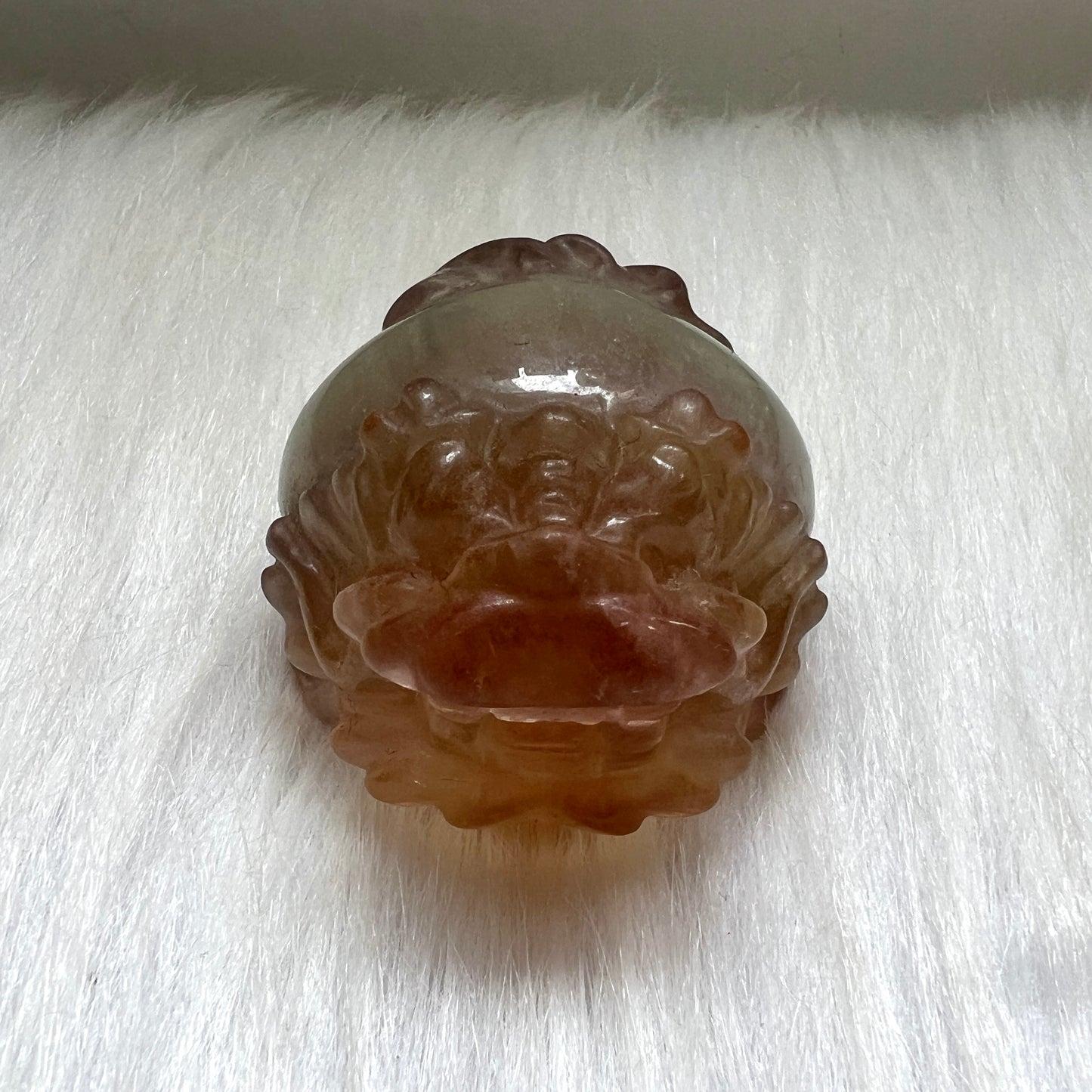 彩螢石龍龜
