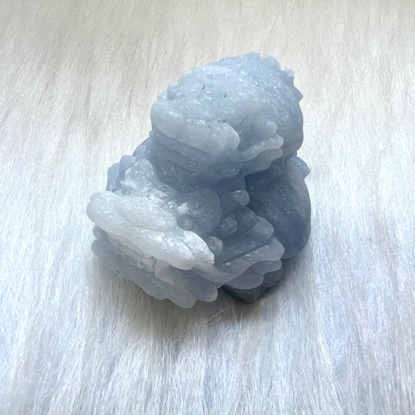 背子天青石龍龜