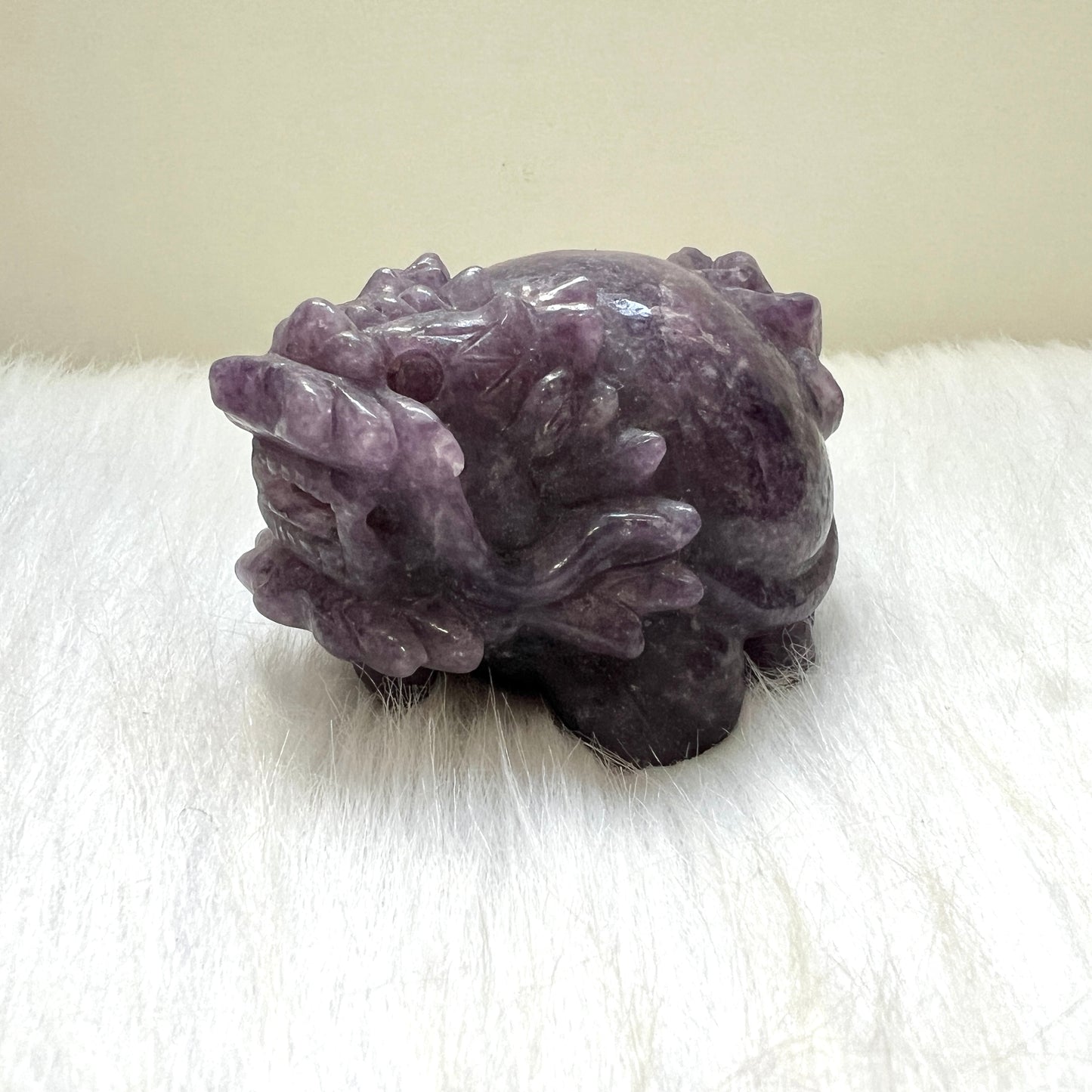 紫雲母龍龜
