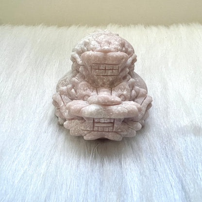 背子粉澳寶龍龜