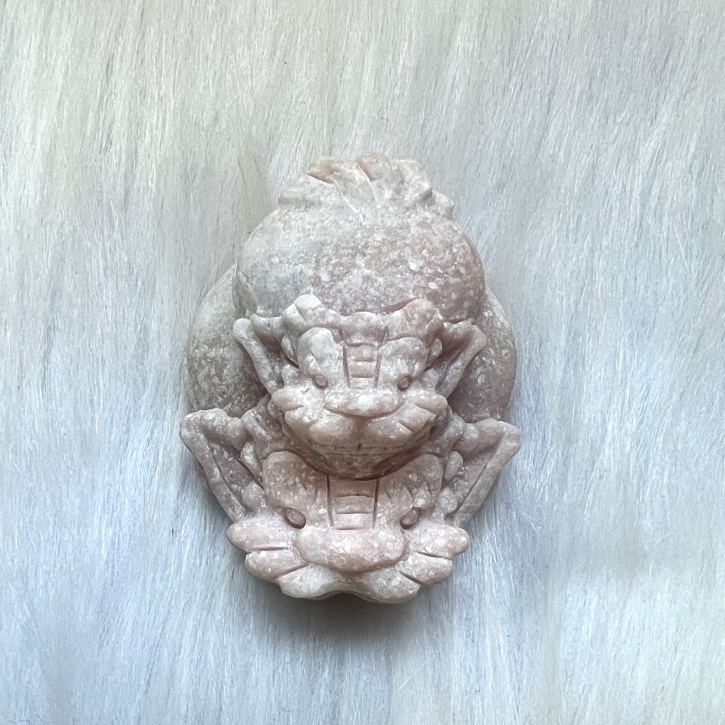 背子粉澳寶龍龜