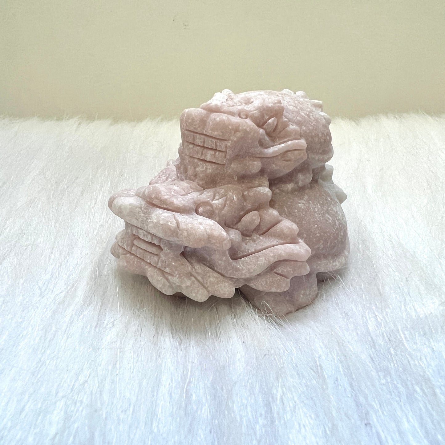 背子粉澳寶龍龜