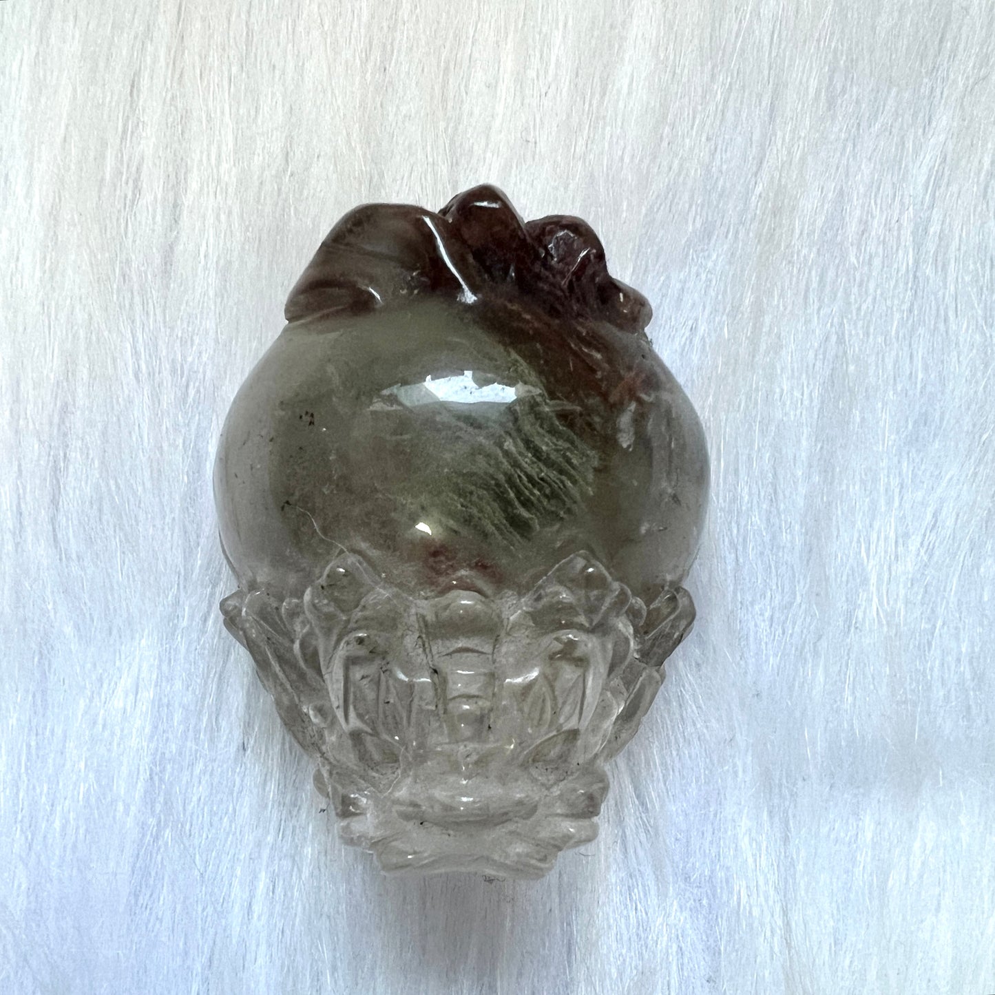 千層綠幽靈龍龜