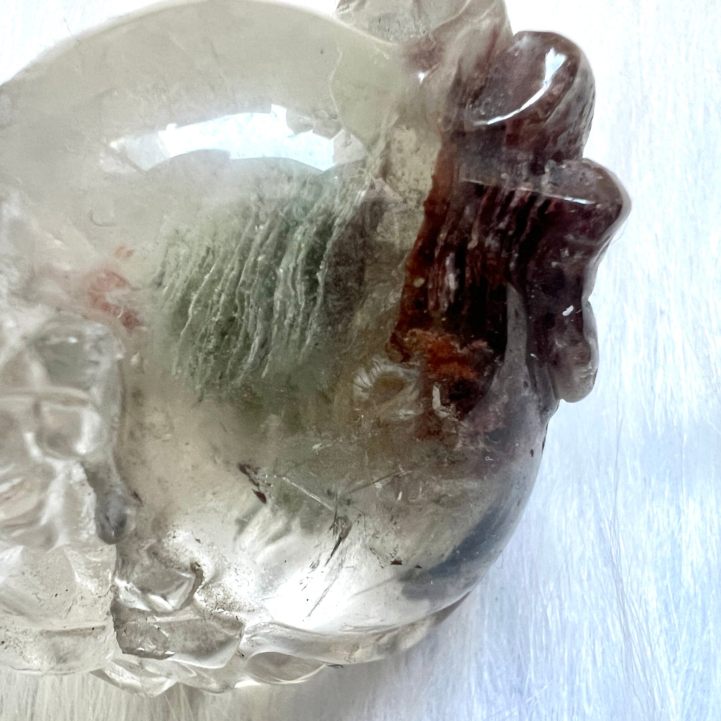 千層綠幽靈龍龜