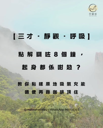 「三才、靜觀、呼吸」班（二人同行價）